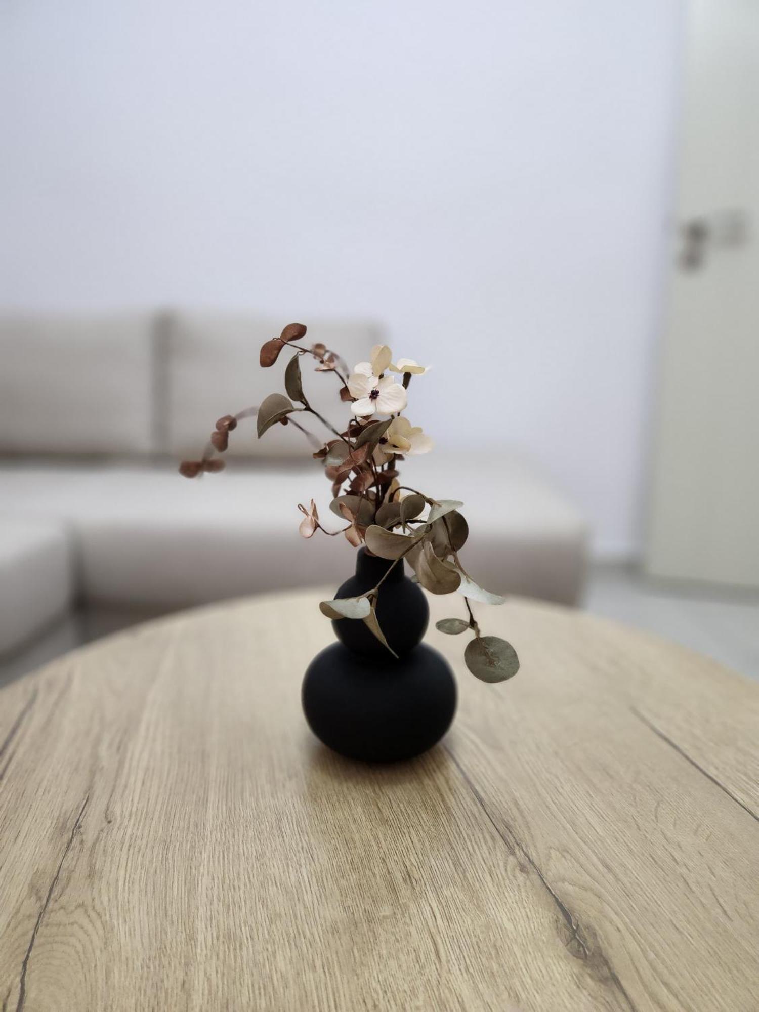 Nevi Apartment ティラナ エクステリア 写真